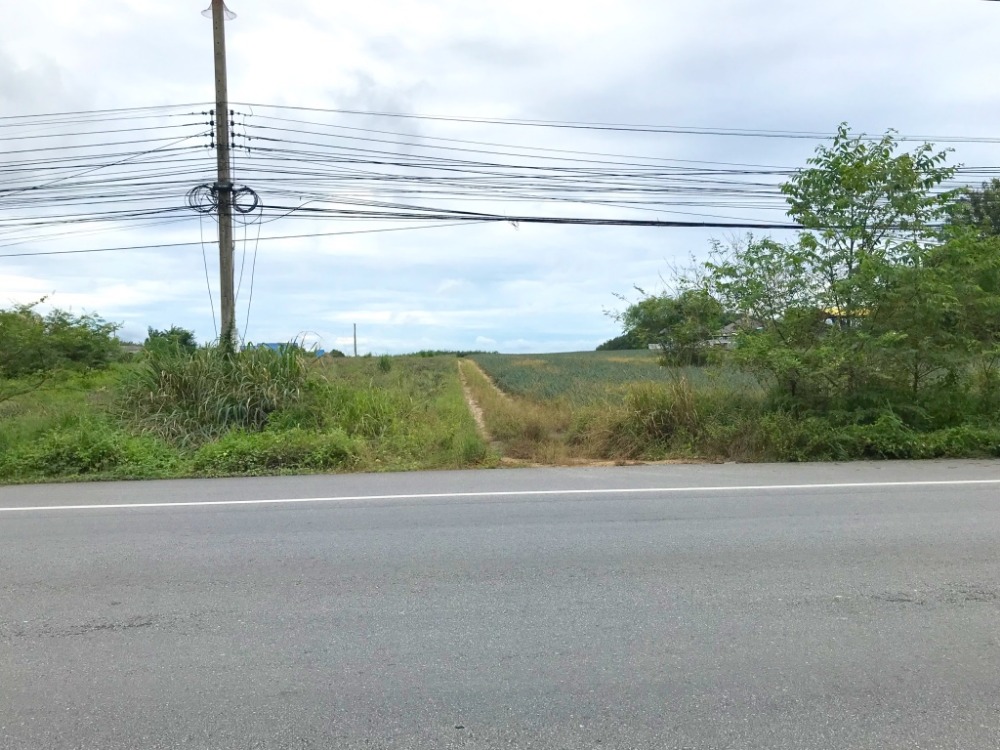 24 rai of land, next to Soi 9 Road, Rayong Development Estate, beautiful plot, purple area, square pattern EEC Economic Corridor – รูปที่ 2