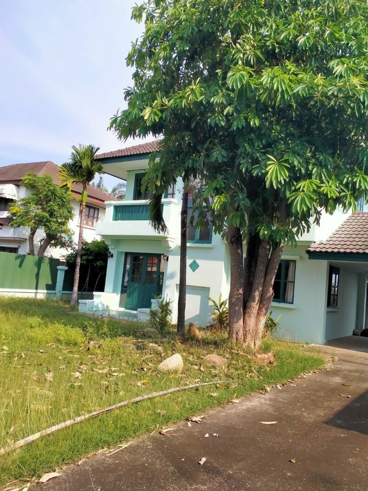 House for  sale  Land and house Village , MaeJo, Sansai – รูปที่ 4