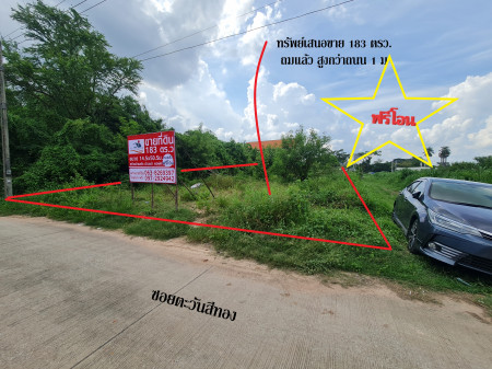 ขาย ที่ดิน ใกล้ตลาดนัดเซฟวัน ซอยโนนไม้แดง 5 อ.เมือง จ.นครราชสีมา เนื้อที่ 1 งาน 83 ตรว ถมแล้วสูงกว่าถนน 1 ม. ฟรีโอน – รูปที่ 4