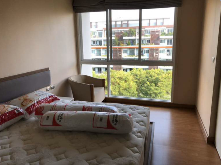 for rent Tree condo luxe Sukhumvit 52  1 bed 💜❤️