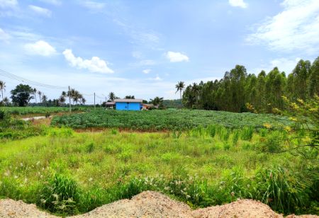 ขาย ที่ดิน ชลบุรีทำเลดี ใกล้นิคมอุตสาหกรรม คลังสินค้า ลานกองตู้คอนเทนเนอร์มากมายที่ดินเปล่าศรีราชา ซอยหนองขาม หุบบอน 3 ไร่ 2 งาน ขาย ที่ดิน ชลบุรีทำเลดี ใกล้นิคมอุตสาหกรรม คลังสินค้า ลานกองตู้คอนเทนเนอร์มากมายที่ดินเปล่าศรีราชา ซอยหนองขาม หุบบอน 3 ไร่ 2 งาน