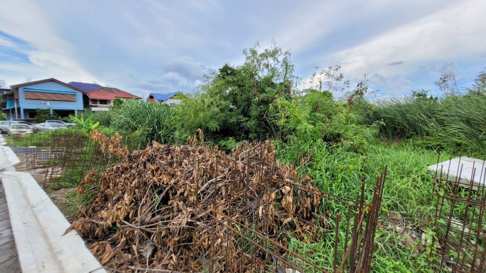 ขายที่ดิน ต.บางพูด อ.ปากเกร็ด จ.นนทบุรี 2แปลงไม่ติดกัน เข้าออกสะดวก ใกล้เมเจอร์ – รูปที่ 2