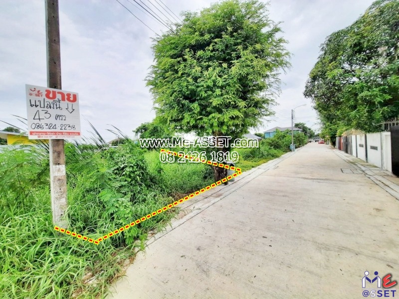 ขายที่ดินเปล่า ย่าน ถนอมมิตร ท่าแร้ง วัชรพล สุขาภิบาล 5, ใกล้ รร.สายอักษร 🌳รามอินทรา 65 แยก 2-6 ซ.บุรุษพัฒน์ 6 : 43 ตร.วา (NN-91159) – รูปที่ 3