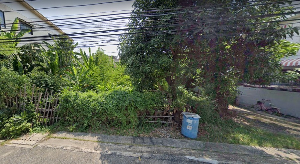 ขาย ที่ดิน 96 ตร.วา ลาดพร้าว 110 วังทองหลาง โซนที่พักอาศัย ใกล้แนว BTS สายสีเหลือง