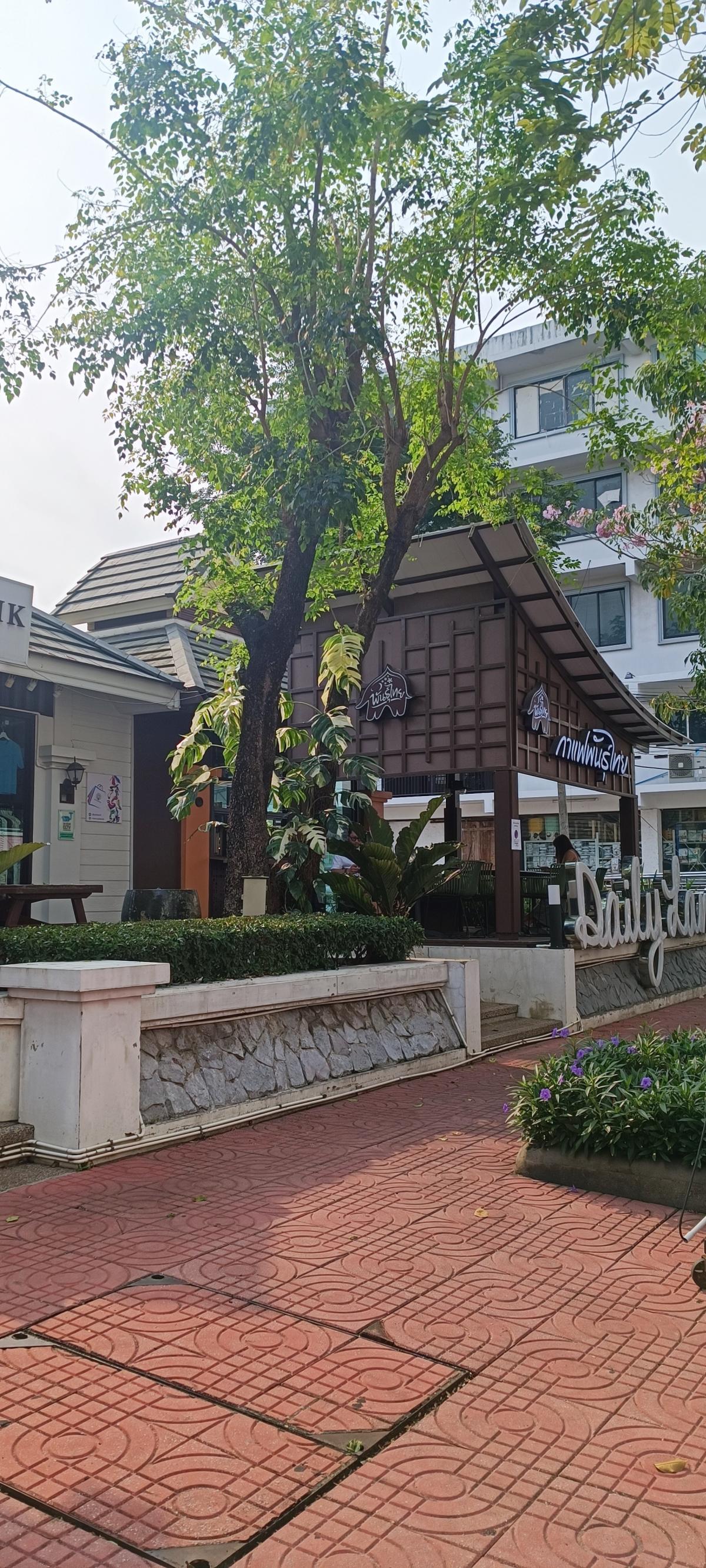 Rent a shop area behind Paradise Park – รูปที่ 2