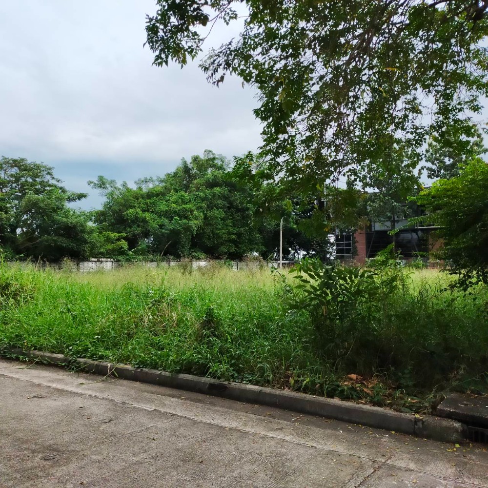ขายด่วน ที่ดินเปล่าหมู่บ้านปัญญเลคโฮม ซอยนมิตรใหม่ 28 ทึ่สวยหมู่บ้านสงบ ซอย 28 หมู่บ้านใหญ่บรรยากาศดี สงบ เดินทางสะดวก (SAV272) – รูปที่ 3