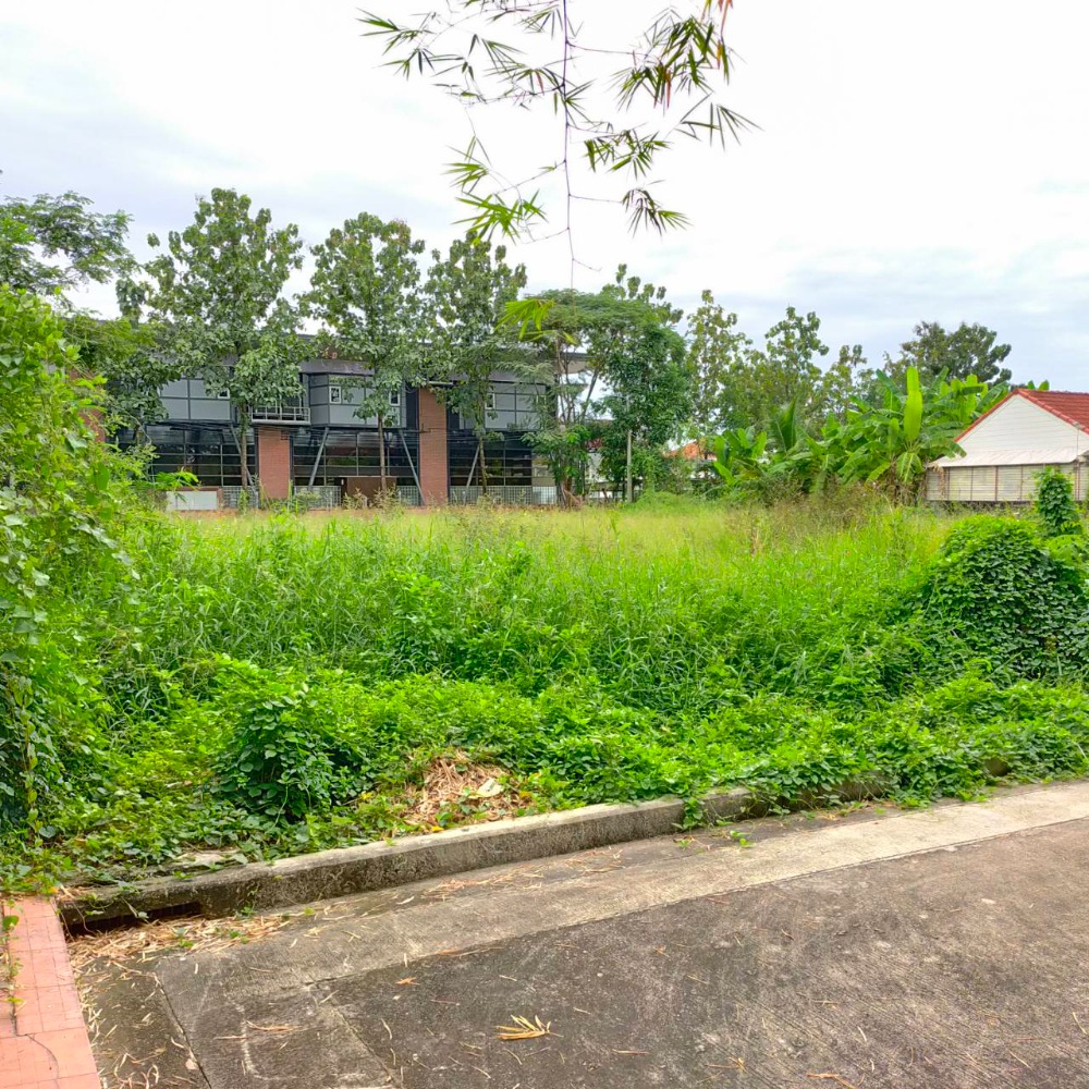 ขายด่วน ที่ดินเปล่าหมู่บ้านปัญญเลคโฮม ซอยนมิตรใหม่ 28 ทึ่สวยหมู่บ้านสงบ ซอย 28 หมู่บ้านใหญ่บรรยากาศดี สงบ เดินทางสะดวก (SAV272) – รูปที่ 4