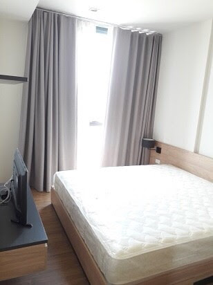 for rent Hasu haus 2 bed special price !! ☘️✨ – รูปที่ 4
