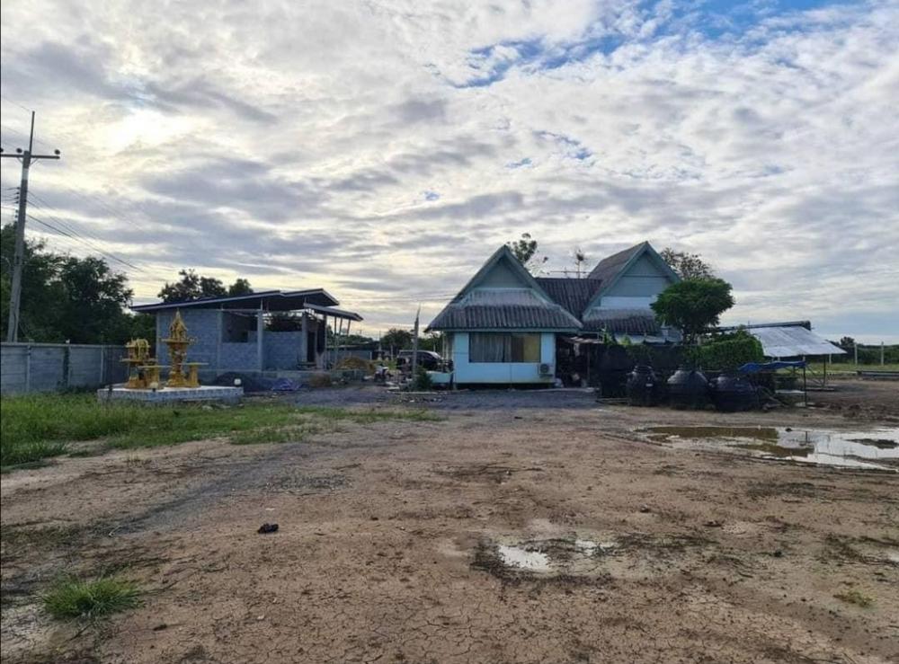 Urgent sale, beautiful land plot, 7-2-12 sq.w., next to the road, Huai Muang Subdistrict, Kamphaeng Saen District, Nakhon Pathom Province – รูปที่ 3