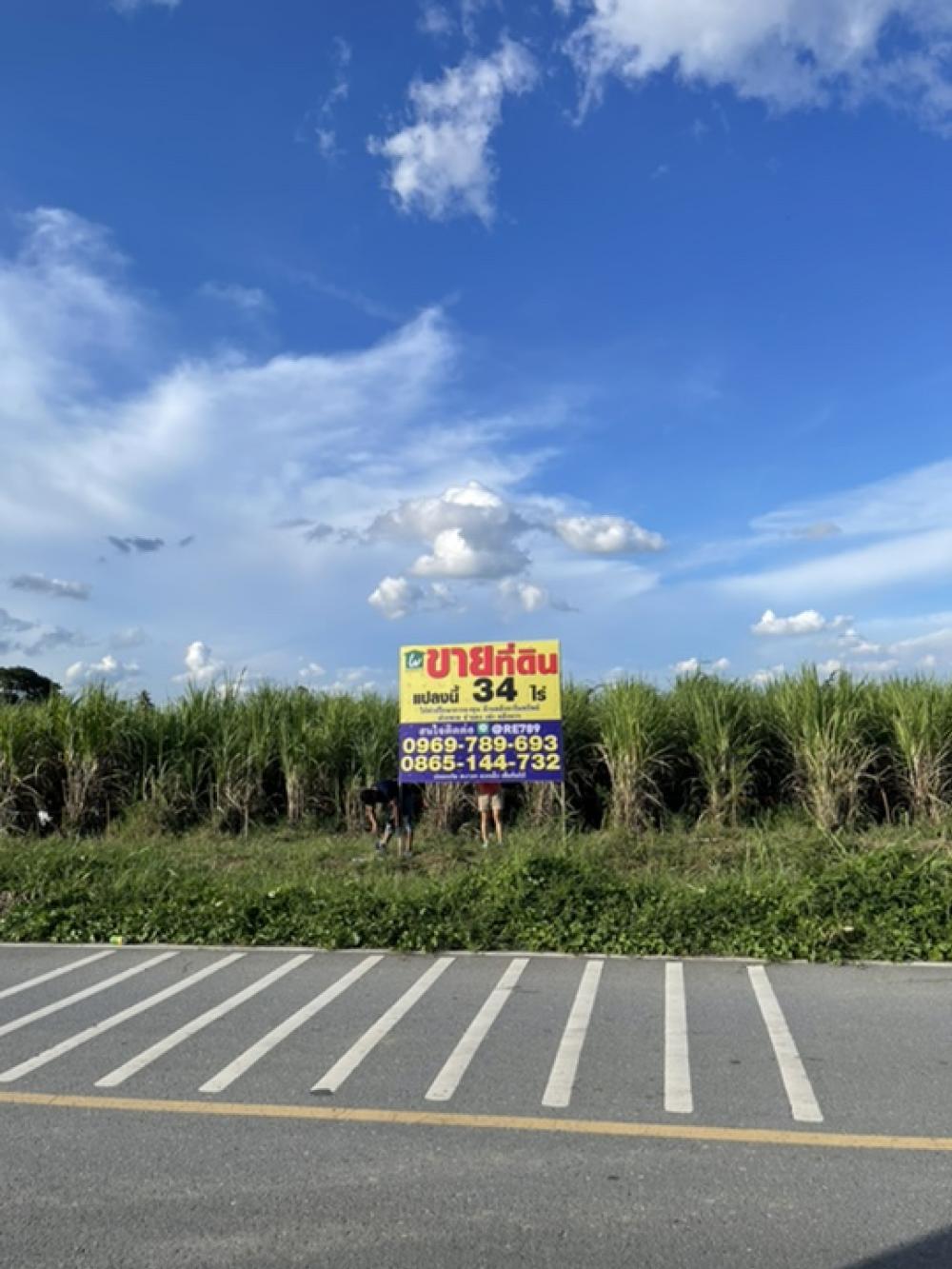 ที่ดิน34ไร่ ห่างถนนมาลัยแมน 1 กิโลทำเลดีติดถนน2เลน – รูปที่ 3