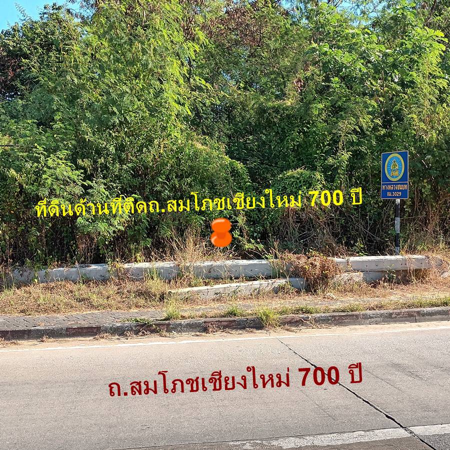ขายที่ดิน14ไร่เศษ ติดถนนซุปเปอร์ไฮเวย์ เชียงใหม่-ลำปาง และ ติดถนนสวนสมโภชเชียงใหม่700ปี – รูปที่ 3