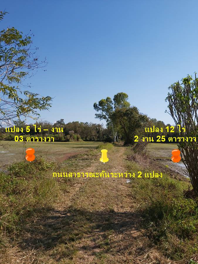 Land for sale on Pho Khun Mengrai Road - Wiang Chai District - Pa Yang Mon (1232) – รูปที่ 4