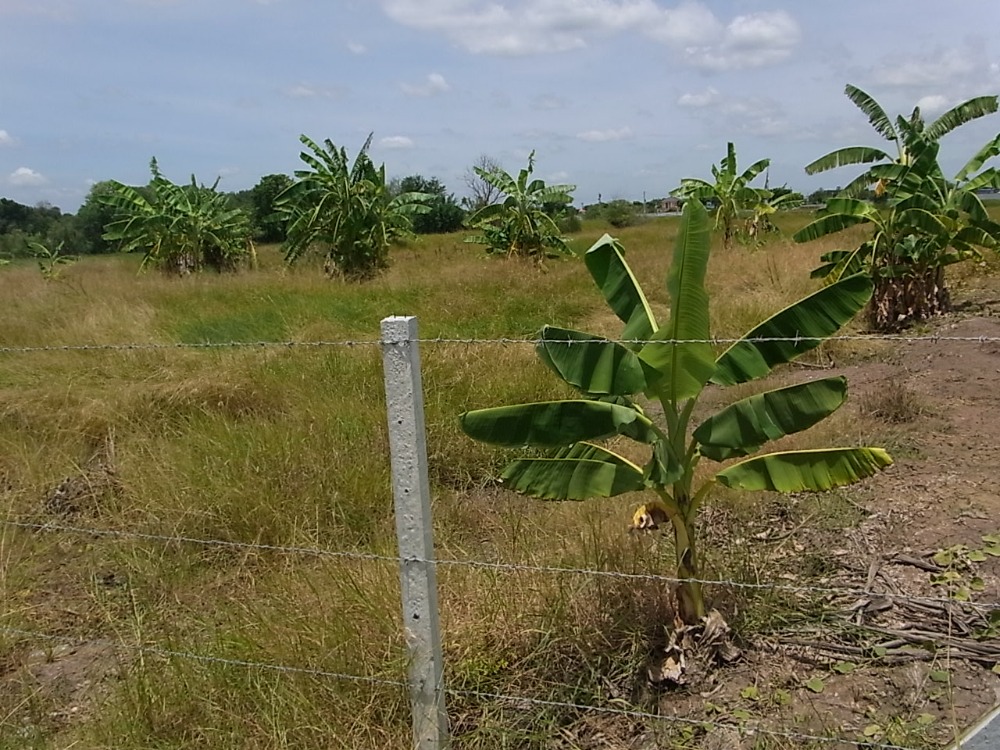 Land for sale 5 rai, Soi entrance to Kin Dee Dee Na Farm, Nakhon Pathom. – รูปที่ 2