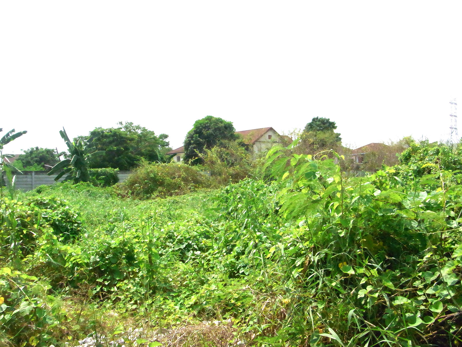 Land for sale 200 square wa, square shape. Suitable for building a house, Line 2, Soi 7, good environment
