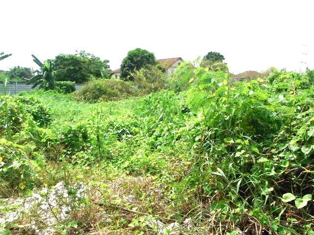 Land for sale 200 square wa, square shape. Suitable for building a house, Line 2, Soi 7, good environment – รูปที่ 3