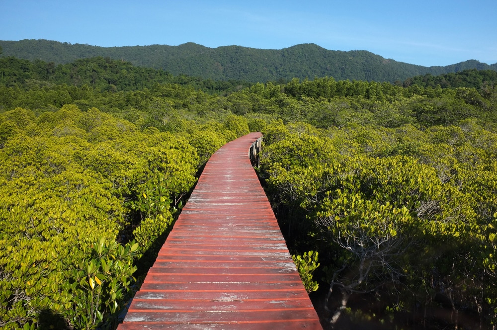 ขายโรงแรมหรูระดับ 4 ดาว ขนาด 196 ห้อง ติดหาดทรายขาว บนเกาะช้าง จ.ตราด – รูปที่ 4