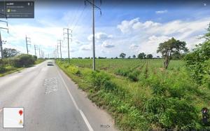 Land for sale on the road, 24 Rai La Lan, Kritsana Subdistrict, Sikhio District, Nakhon Ratchasima Province (Korat)