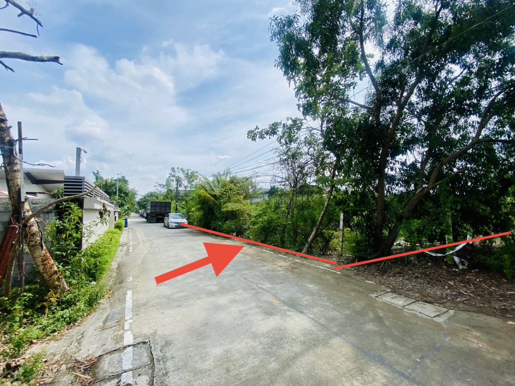ขาย ที่ดิน ใกล้แยกโรงพยาบาลเซนต์คาร์ลอส ถนนรังสิต - ปทุมธานี เนื้อที่ 2 งาน ใกล้ทางด่วน – รูปที่ 4
