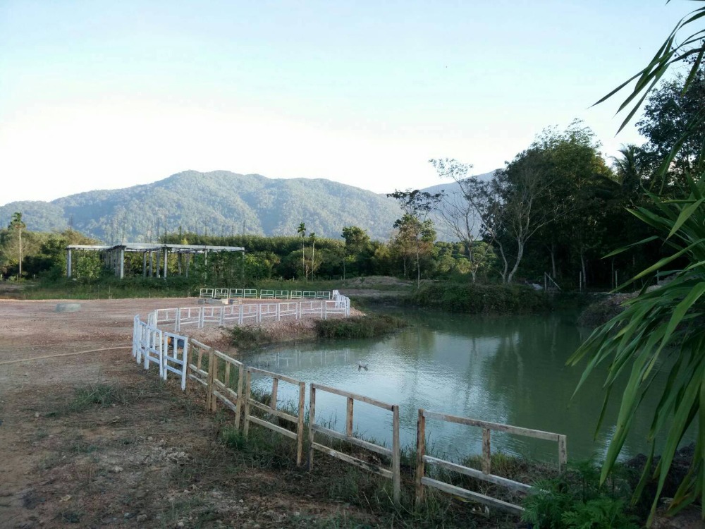 ที่ดิน พร้อมสิ่งปลูกสร้างฯ ขนาดที่ดิน 12-3-5.0 ไร่ อำเภอเขาคิชฌกูฎ จังหวัดจันทบุรี – รูปที่ 2