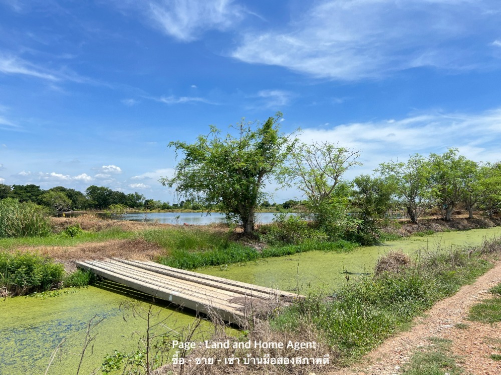 Empty land for sale, 10 rai, opposite City Hall, Nakhon Pathom Province, 2 million baht per rai. Empty land for sale, 10 rai, opposite City Hall, Nakhon Pathom Province, 2 million baht per rai.