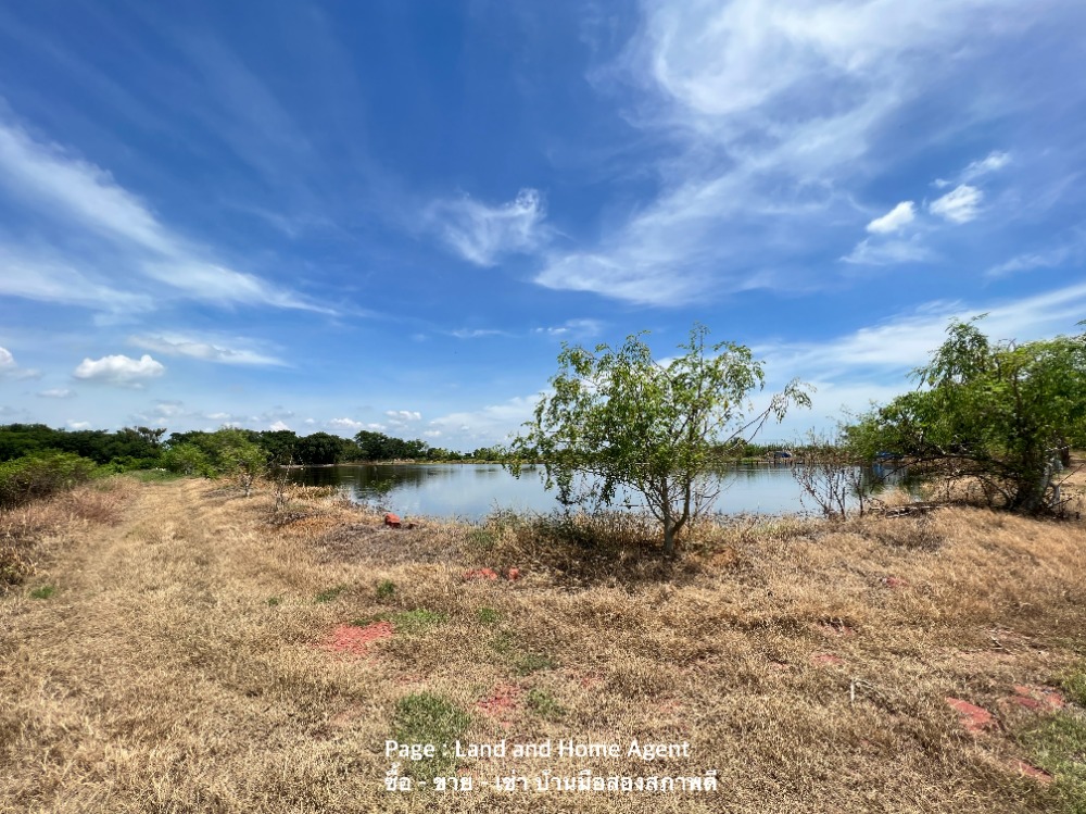 Empty land for sale, 10 rai, opposite City Hall, Nakhon Pathom Province, 2 million baht per rai. – รูปที่ 3