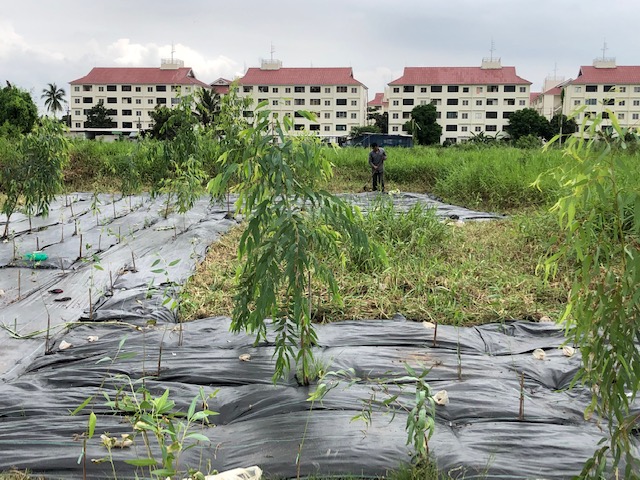 Empty land, rectangular shape, area 1 rai, width approximately 25 meters, length approximately 60 meters. Empty land, rectangular shape, area 1 rai, width approximately 25 meters, length approximately 60 meters.