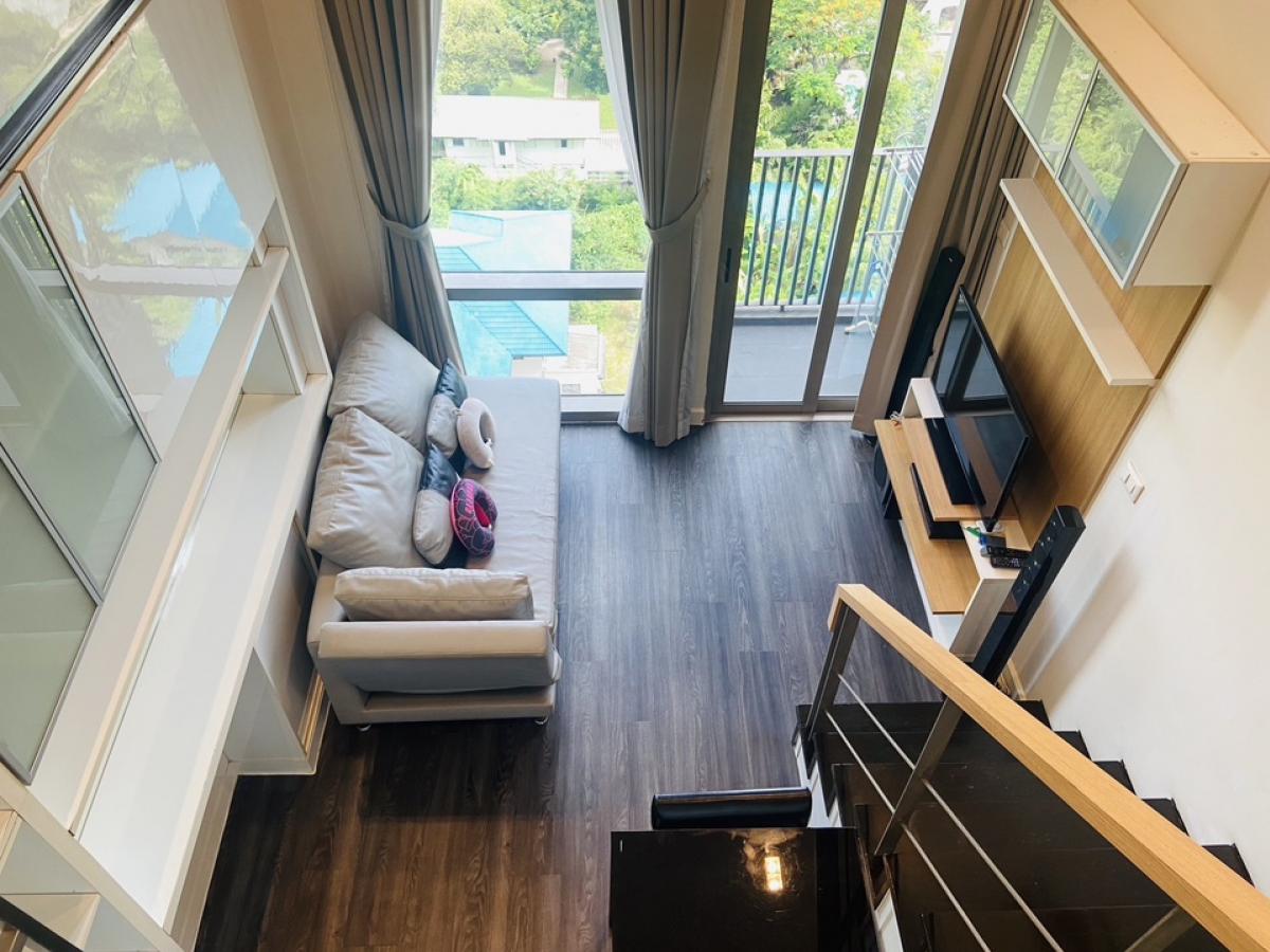Pet Friendly เลี้ยงสัตว์ได้ IDEO MORPH 38Near BTS Tonglor ไอดีโอ มอร์ฟ 38 ติด BTS ทองหล่อ มีรถ รับ-ส่ง หรือ เดินไปBTS ได้ Pet Friendly เลี้ยงสัตว์ได้ IDEO MORPH 38Near BTS Tonglor ไอดีโอ มอร์ฟ 38 ติด BTS ทองหล่อ มีรถ รับ-ส่ง หรือ เดินไปBTS ได้