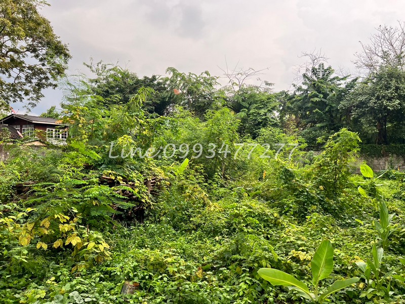ขายที่ดิน 221ตร.วา ซอยเกศินีวิลล์ 20 หมู่บ้านเกศินีวิลล์ ถนนประชาอุทิศ21 เขตห้วยขวาง ใกล้แยกเหม๋งจ๋ายใกล้โรงเรียนนานาชาติ K.I.S เหมาะสำหรับปลูกบ้าน – รูปที่ 2