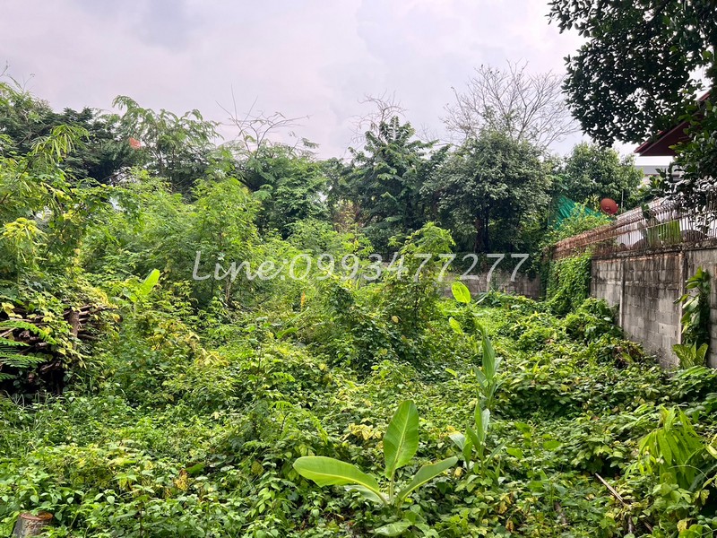 ขายที่ดิน 221ตร.วา ซอยเกศินีวิลล์ 20 หมู่บ้านเกศินีวิลล์ ถนนประชาอุทิศ21 เขตห้วยขวาง ใกล้แยกเหม๋งจ๋ายใกล้โรงเรียนนานาชาติ K.I.S เหมาะสำหรับปลูกบ้าน – รูปที่ 3