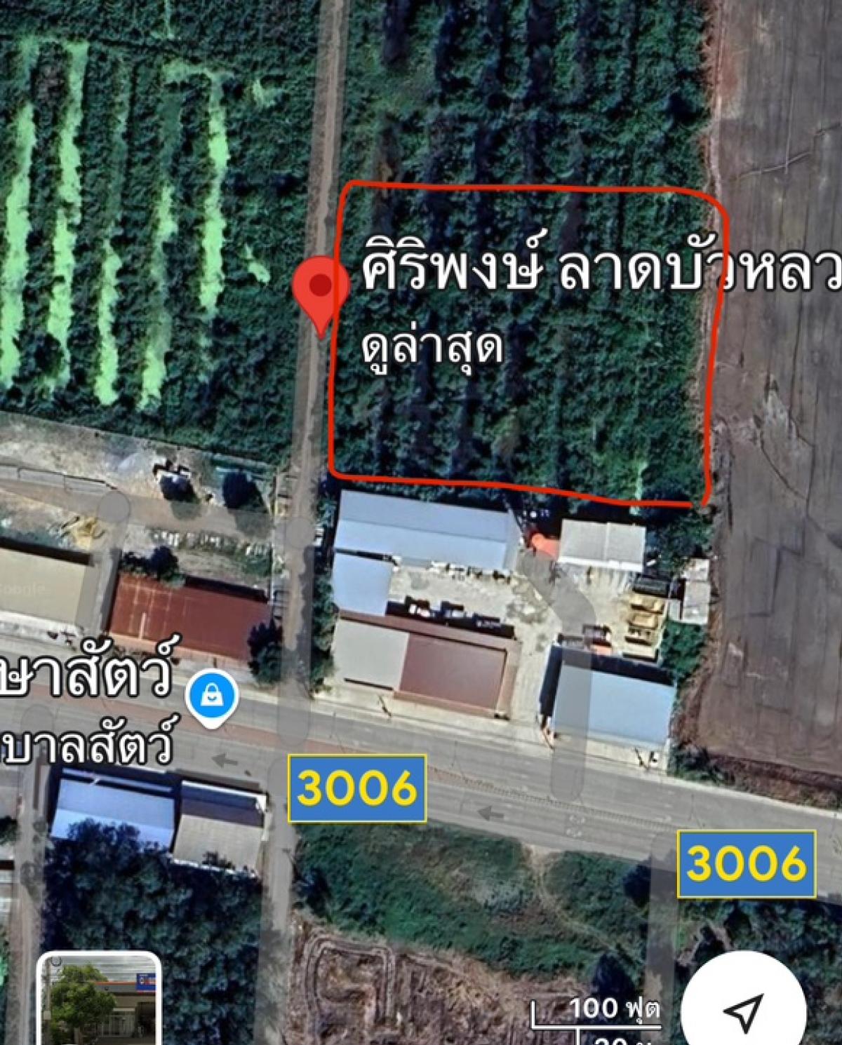 ขายที่ดิน ลาดบัวหลวง ติดถนน 3006 ทำเลดี ขายที่ดิน ลาดบัวหลวง ติดถนน 3006 ทำเลดี