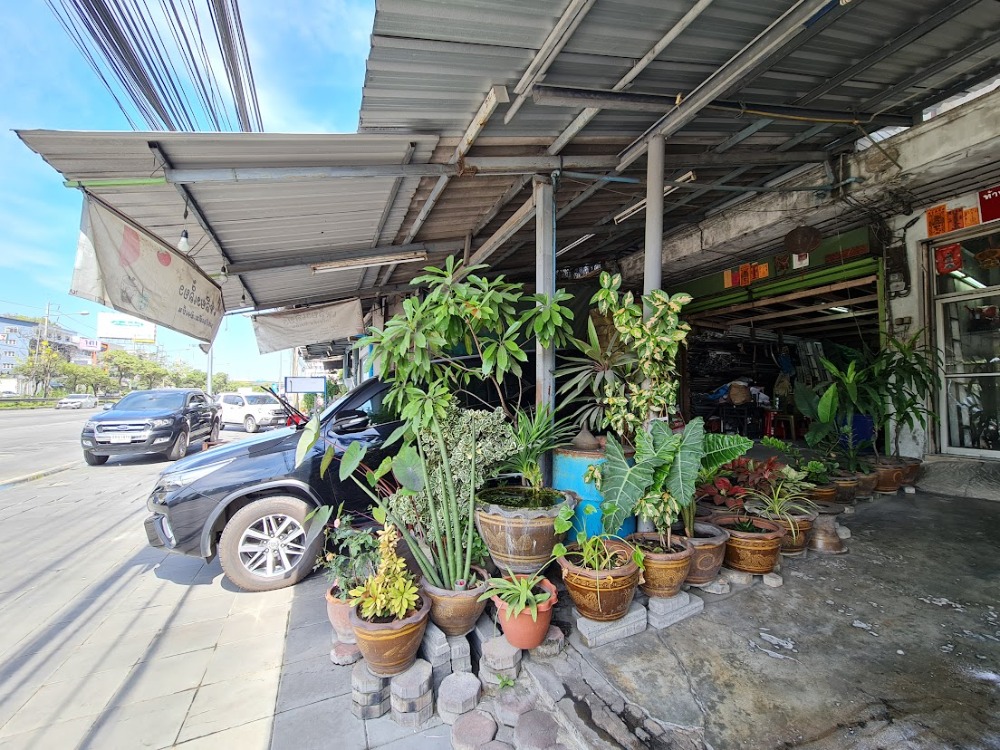 ขายอาคารพาณิชย์ศรีนครินทร์ สมุทรปราการ เนื้อที่รวม 20 ตร.ว. อำเภอเมือง ใกล้ทางพิเศษกาญจนาภิเษก – รูปที่ 3
