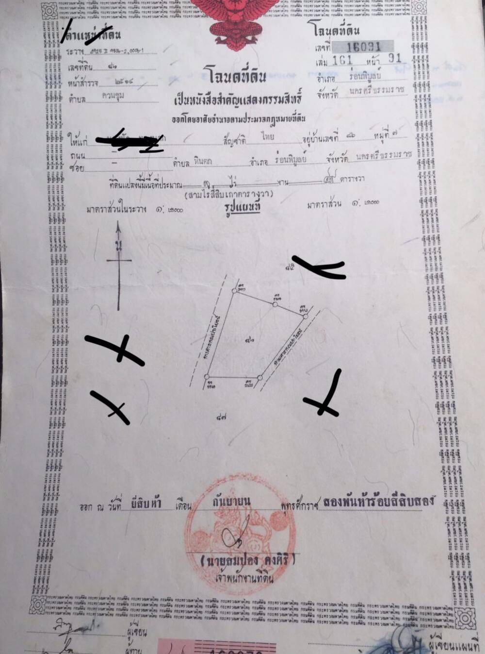 Selling at title deed, land size 3 rai 49 sq m. In front of palm yard near Wat Samakayaram Khuan Chum Ron Phibun Subdistrict 5M baths Selling at title deed, land size 3 rai 49 sq m. In front of palm yard near Wat Samakayaram Khuan Chum Ron Phibun Subdistrict 5M baths