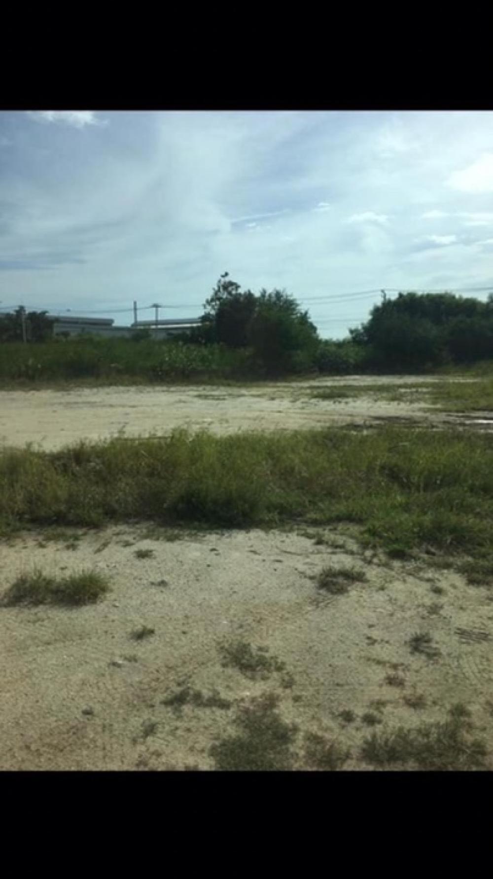 📣📣 Land for sale, good location, 5 rai, Bang Bo district, Samut Prakan province 📣📣 – รูปที่ 4
