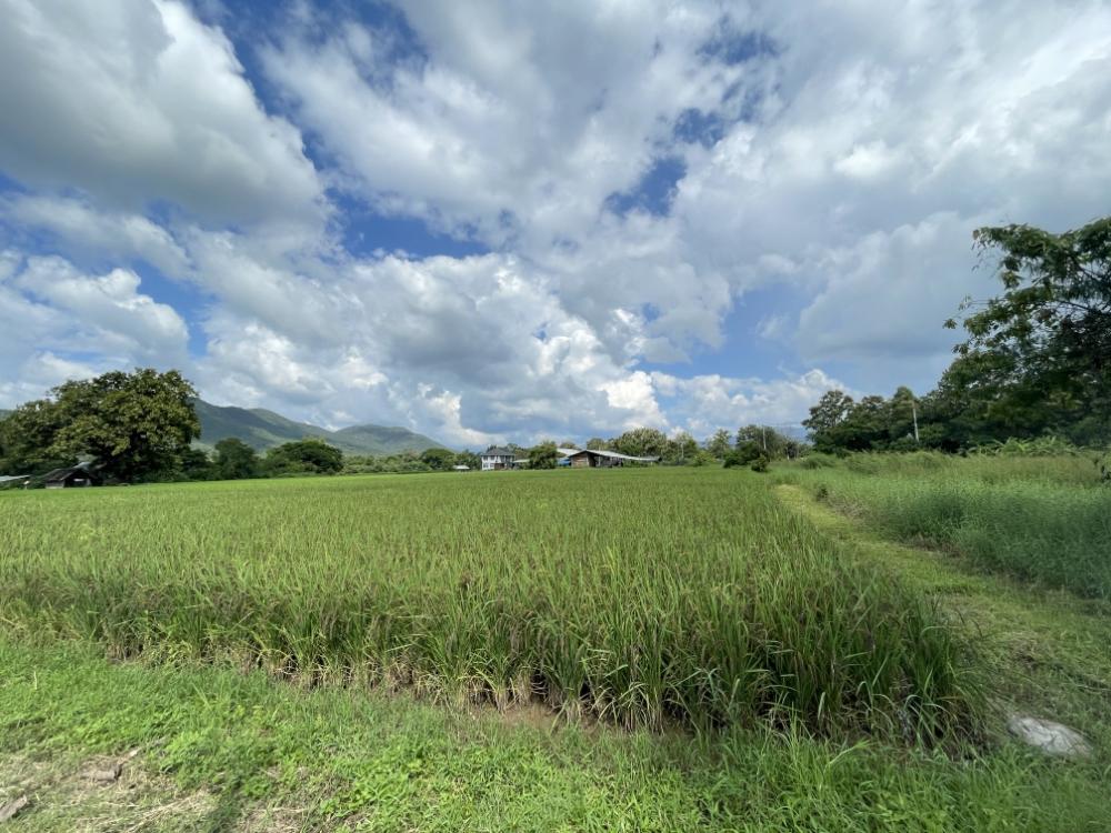 Land for sale in Mae On, San Kamphaeng, Chiang Mai. – รูปที่ 3