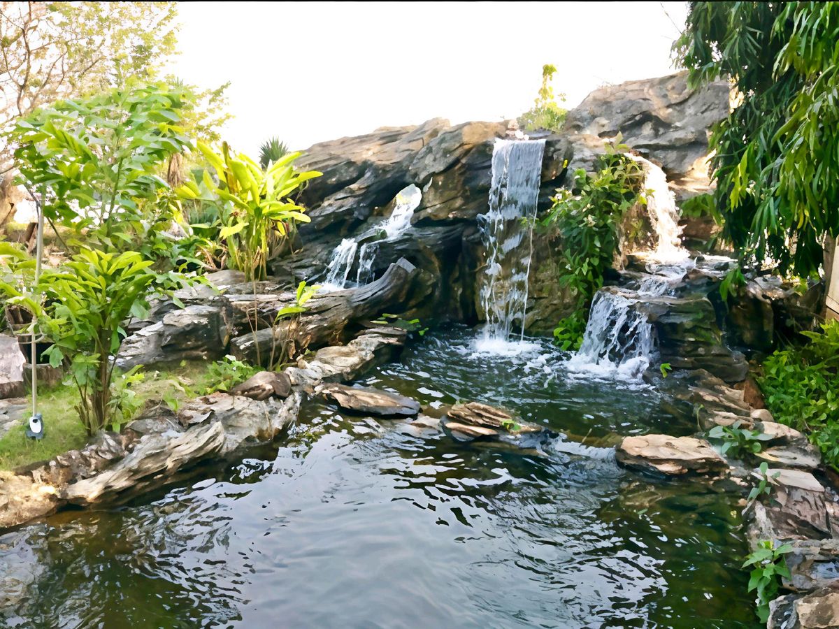บ้านสวนสวย ร่มรื่น ติดแม่น้ำท่าจีน กระทุ่มแบน สมุทรสาคร 5ไร่ 26 ตารางวา – รูปที่ 3