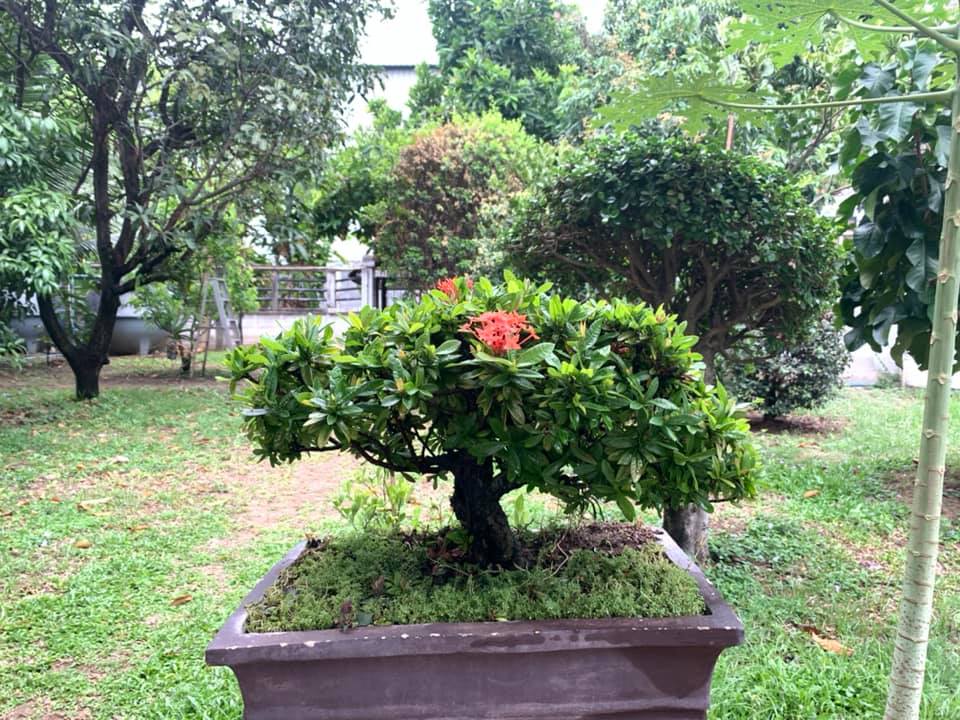 House on Kanlapaphruek Road, 263 square meters – รูปที่ 4