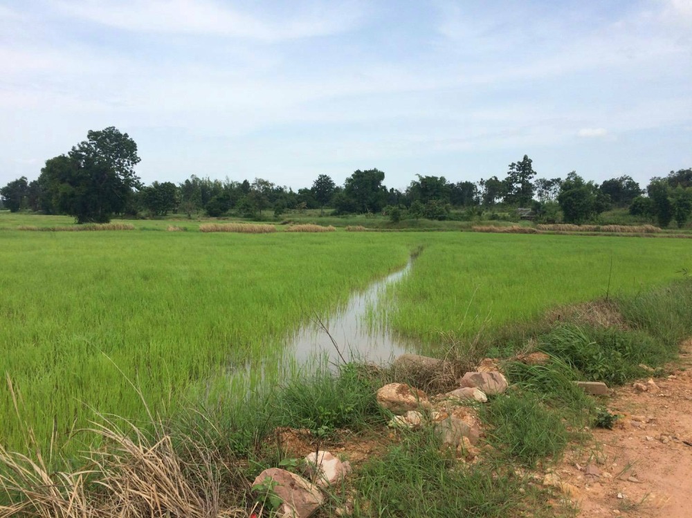 Urgent sale!!! Beautiful land, large plot, Chaiyaphum Province, 65 rai, price 16 million baht, price includes all expenses (negotiable, sells by himself) Want to sell urgently !!! )) Urgent sale!!! Beautiful land, large plot, Chaiyaphum Province, 65 rai, price 16 million baht, price includes all expenses (negotiable, sells by himself) Want to sell urgently !!! ))