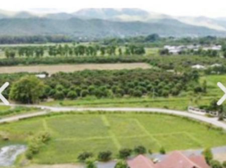 Land with buildings. 
6 rai 2 ngan 31 square
(6-2-31 rai) San Kampheng District, Chiang Mai Province. – รูปที่ 4