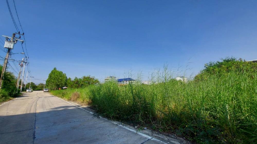 Land for rent near ABAC-Bangna University, near Aurora Suvarnabhumi Hotel – รูปที่ 4