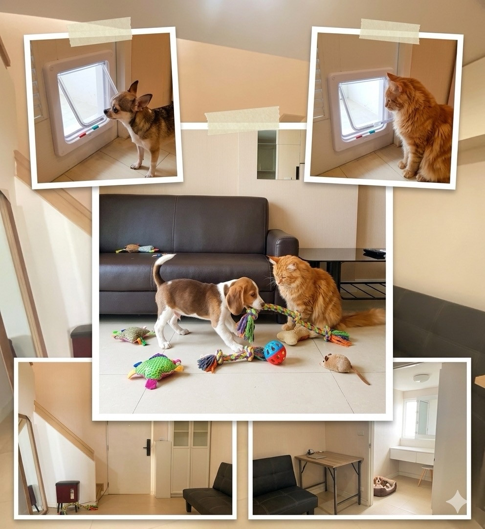 📌ว่าง 26/10/69 🐶🐱 Pet Friendly | Duplex 2 ชั้น | 1 ห้องนอน | 36 ตร.ม. | 11,500 บ./ด. รับสุนัขแมวแบบเปิดเผย 📌ว่าง 26/10/69 🐶🐱 Pet Friendly | Duplex 2 ชั้น | 1 ห้องนอน | 36 ตร.ม. | 11,500 บ./ด. รับสุนัขแมวแบบเปิดเผย