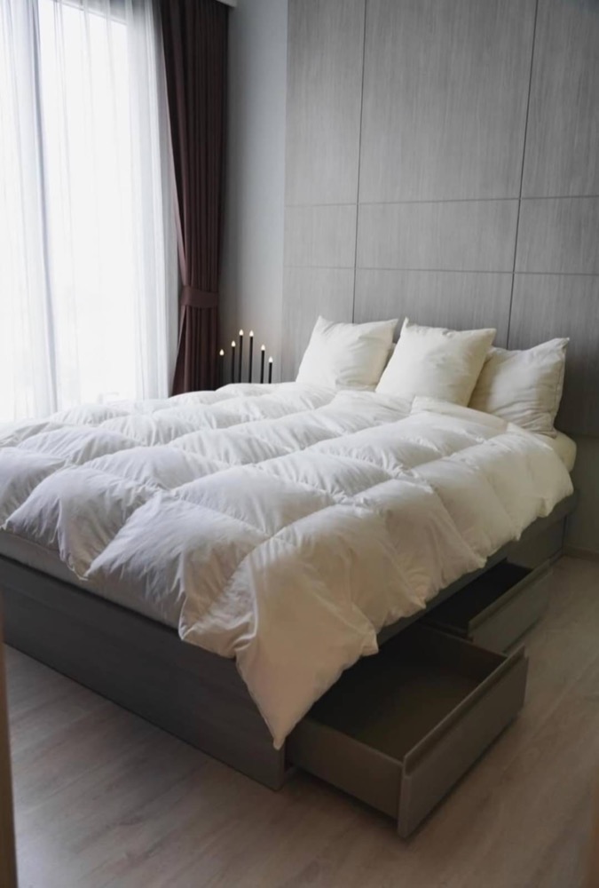 Pet-friendly for rent M Thonglor 1 bedroom corner unit