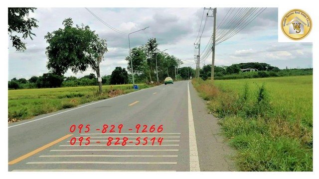 Land for sale, 49-1-29 rai, next to the main public road, 12 m., near Shinawatra University, Bang Toei-Sam Khok, Pathumthani – รูปที่ 2