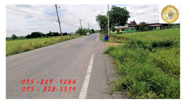 Land for sale, 49-1-29 rai, next to the main public road, 12 m., near Shinawatra University, Bang Toei-Sam Khok, Pathumthani – รูปที่ 3