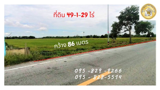 Land for sale, 49-1-29 rai, next to the main public road, 12 m., near Shinawatra University, Bang Toei-Sam Khok, Pathumthani – รูปที่ 4