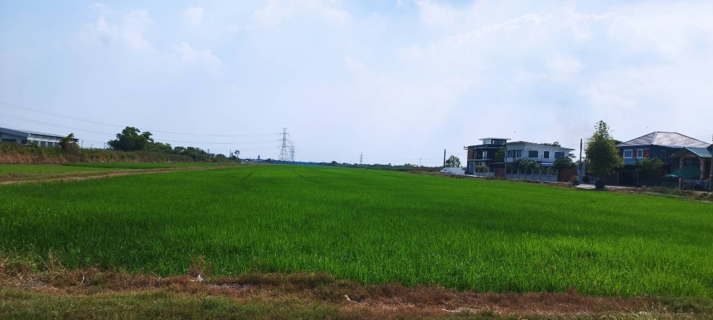 Long-term rental of land on the road 100 rai near Makro, Thai Watsadu, Nong Chok. Very good location, suitable for a shopping center Community mall, gas station, showroom, can be rented – รูปที่ 3