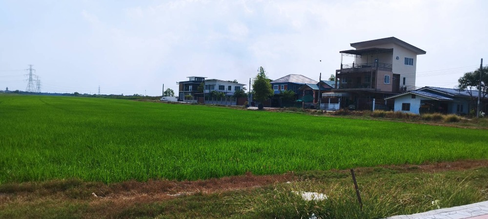 Long-term rental of land on the road 100 rai near Makro, Thai Watsadu, Nong Chok. Very good location, suitable for a shopping center Community mall, gas station, showroom, can be rented – รูปที่ 4