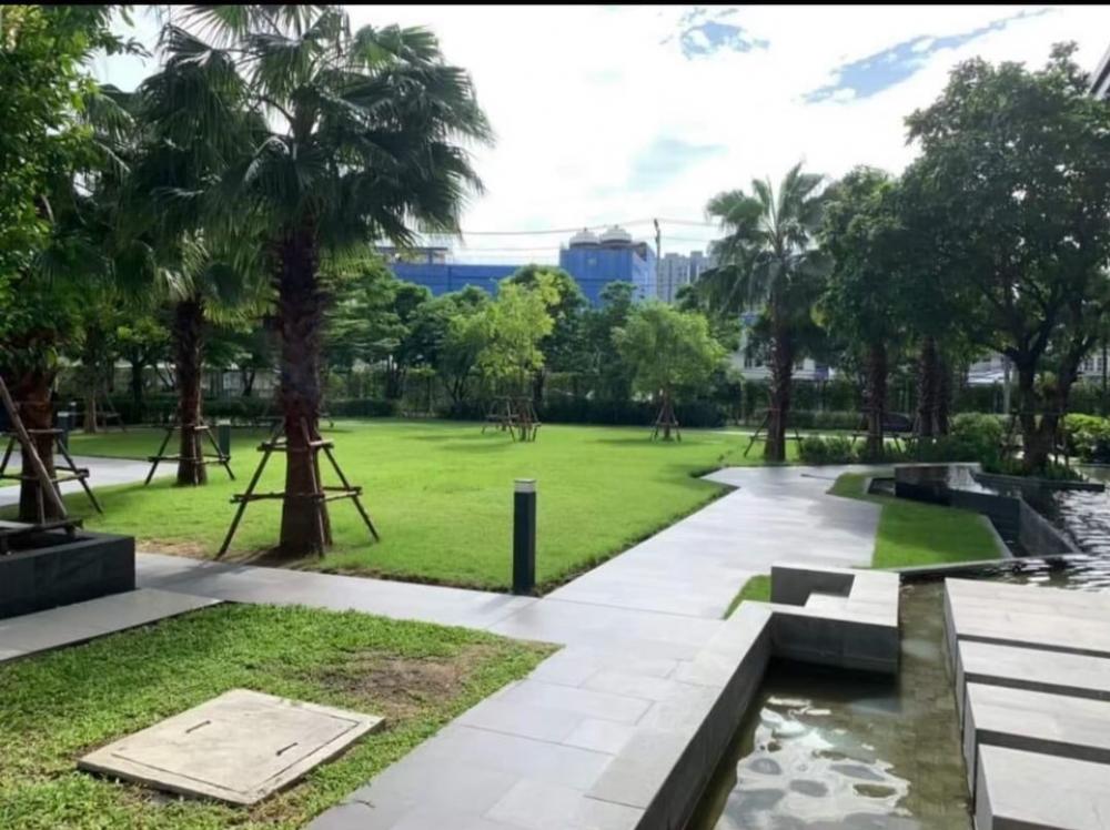 Prodigy Condo Project for rent, Phetkasem location - BTS line project 🚅 Stu room, room size 24 sq.m., 31st floor, price 7,500/month, 1 year contract Prodigy Condo Project for rent, Phetkasem location - BTS line project 🚅 Stu room, room size 24 sq.m., 31st floor, price 7,500/month, 1 year contract