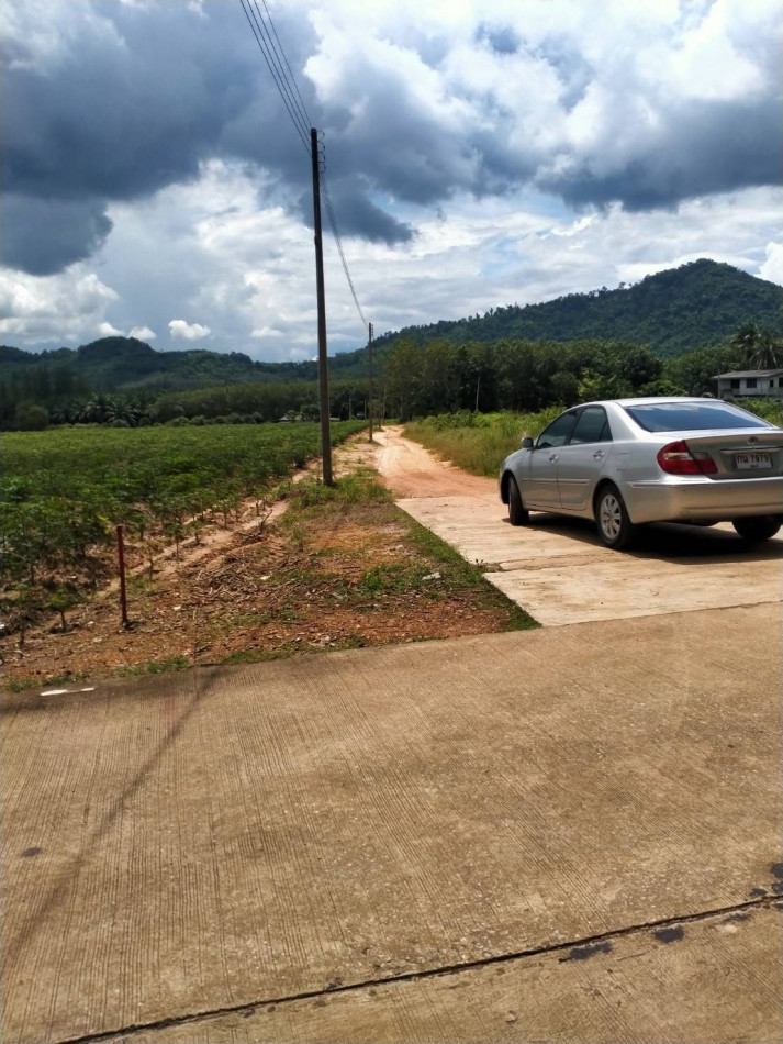 Urgent sale !! Land 263-3-26 Rai, Rayong, Pa Yup Nai, suitable for building a village, gardening, factory, livestock – รูปที่ 2