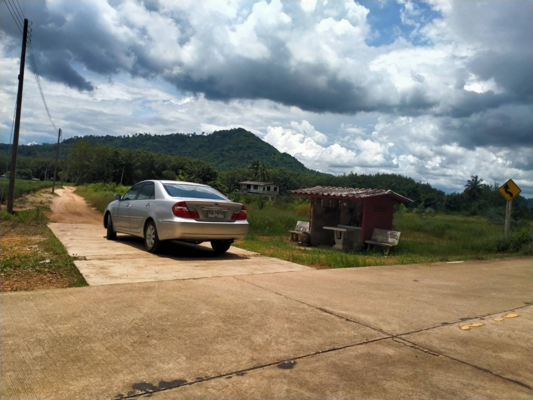 Urgent sale !! Land 263-3-26 Rai, Rayong, Pa Yup Nai, suitable for building a village, gardening, factory, livestock – รูปที่ 3