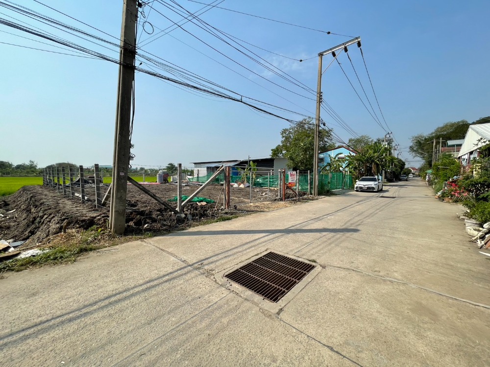 ให้เช่าที่ดินถมแล้ว 54 ตรว. ซอยวัดลาดปลาดุก หมู่บ้านธารทอง 2 บางใหญ่ นนทบุรี – รูปที่ 2